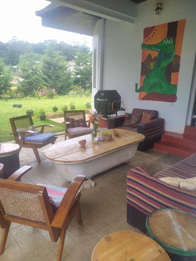 Chilly Croc Hostel 努沃勒埃利耶 外观 照片