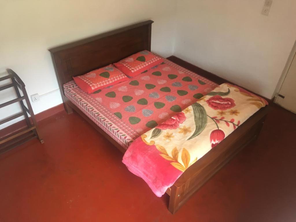 Chilly Croc Hostel 努沃勒埃利耶 外观 照片
