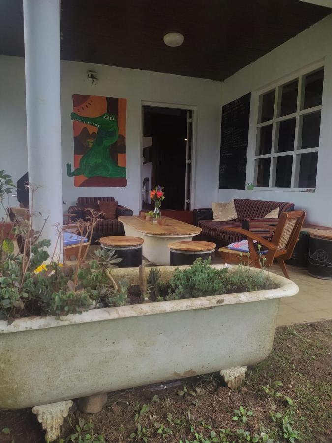 Chilly Croc Hostel 努沃勒埃利耶 外观 照片